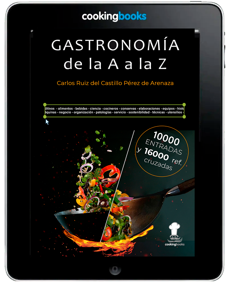 eBook Diccionario Enciclopédico «GASTRONOMÍA de la A a la Z»